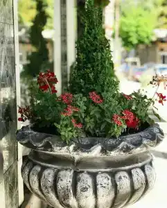 Arabesque - 3