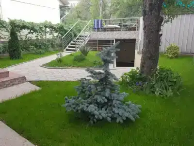 Mountain Road Hostel - 6