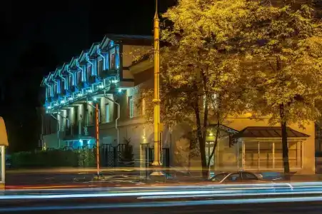 Bronzoviy Kaban Avtorskiy - 1