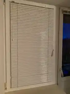 Belovezhskaya pushcha №2 - 77