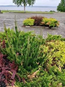 Club Prionezhskiy - 48