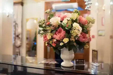 History Complex - 29