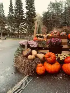 Lesnaya Opushka Tourist base - 15