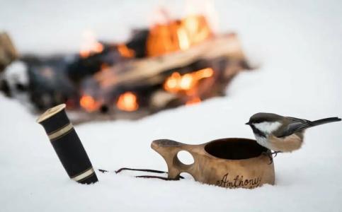 Wilderness Inari & Igloos - 18