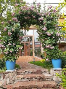 Holiday Home Zimaleto - 71
