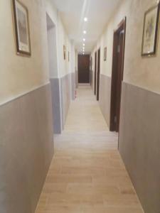 B&B Drago D'Oro - 18
