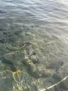 Cataract Resort Naama Bay - 34