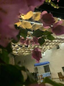 Dar Lola Djerba - 10