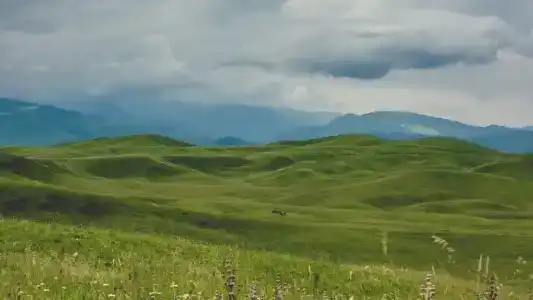 InterContinental - 47