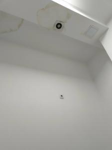 White & Hostel - 5