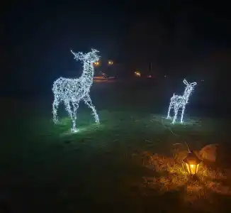 Медикал Спа Резорт Альфа Радон - 25