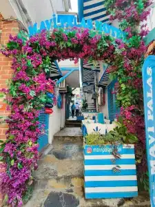 BUYUKADA MAVI Palas - 10