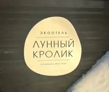 Lunny Krolik - 62