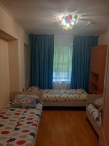 Family Hostel - 11