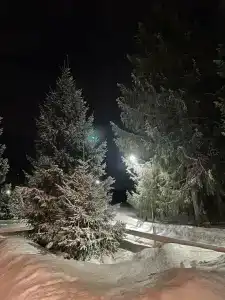 Park-Torbeevo Ozero - 46