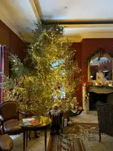 Кронон Парк - 42