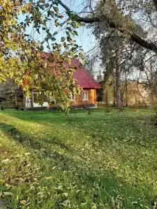 Sanatorium Sosnovyy bor - 99