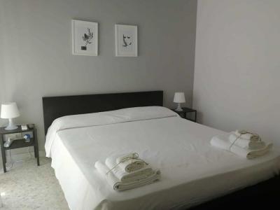 Gatto Bianco Picone 19 - 20