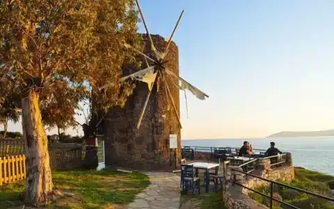 Maya Bistro & Beach - 14