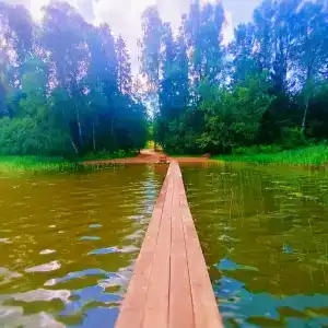 Neshalashi Lesnoy - 9