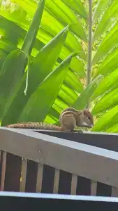 Lagoon Paradise Beach Resort - 34