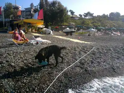 Justiniano Club Alanya – All Inclusive - 52