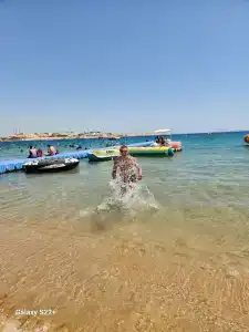 Falcon Naama Star - 41