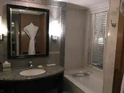 ITC Rajputana, a Luxury Collection, Jaipur - 46