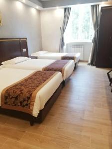 B&B Drago D'Oro - 44