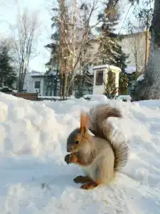 Livadiya Sanatorium - 40