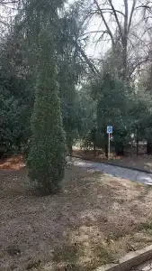 Sanatoriy Kazakhstan - 46