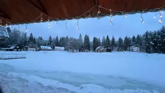 Lesnaya Skazka Restaurant-Complex - 88