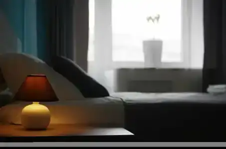 Simple Bon Voyage - 13