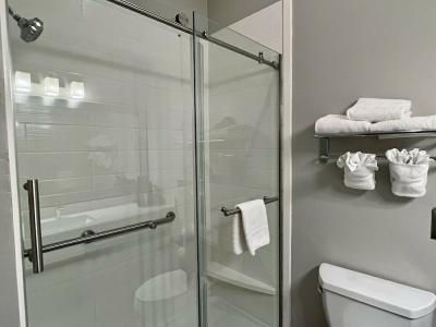 Stay Express Inn & Suites Houston Hobby Airport - 49