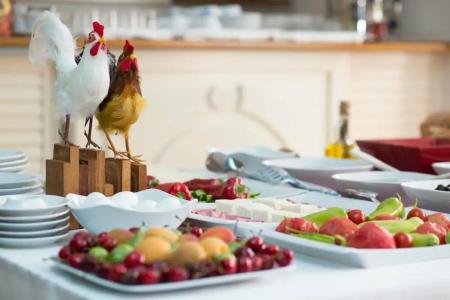 Dedeminn Marina - 47