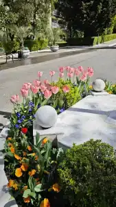 Belarus Sanatorium - 15