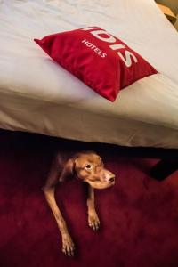 ibis Vilnius Centre - 47