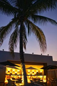 Oh! Cancun - the Urban Oasis & Beach Club - 37