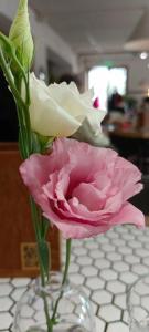 Villa Tat'yana Na Verhneozyornoj - 58