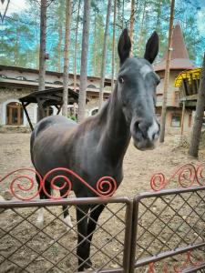 Usadba Meshcherskaya Park-Hotel - 23