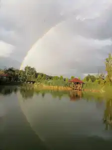 Zolotaya Rybka Resort - 15