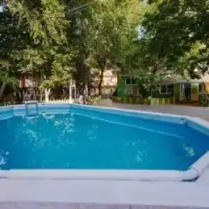 Alyonka - 5