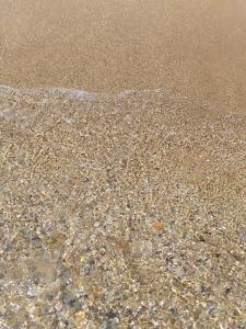 ОАЗИС домики - 50