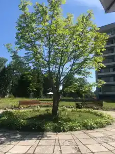 Mitino Health Resort - 64