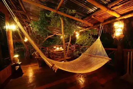 Viking Nature Resort - 0