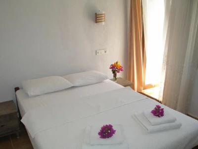 Eucalyptus Pension - 28