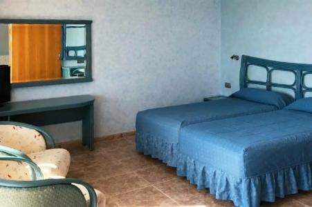 Kaktus Kaktus Albir - 59