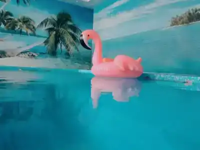 History Complex - 22