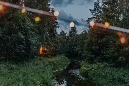 База отдыха Белка - 18