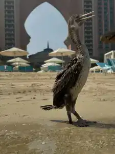 Atlantis, The Palm - 39